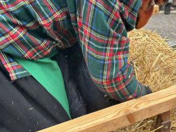 WhatsApp Image 2026-02-03 at 09.32.15